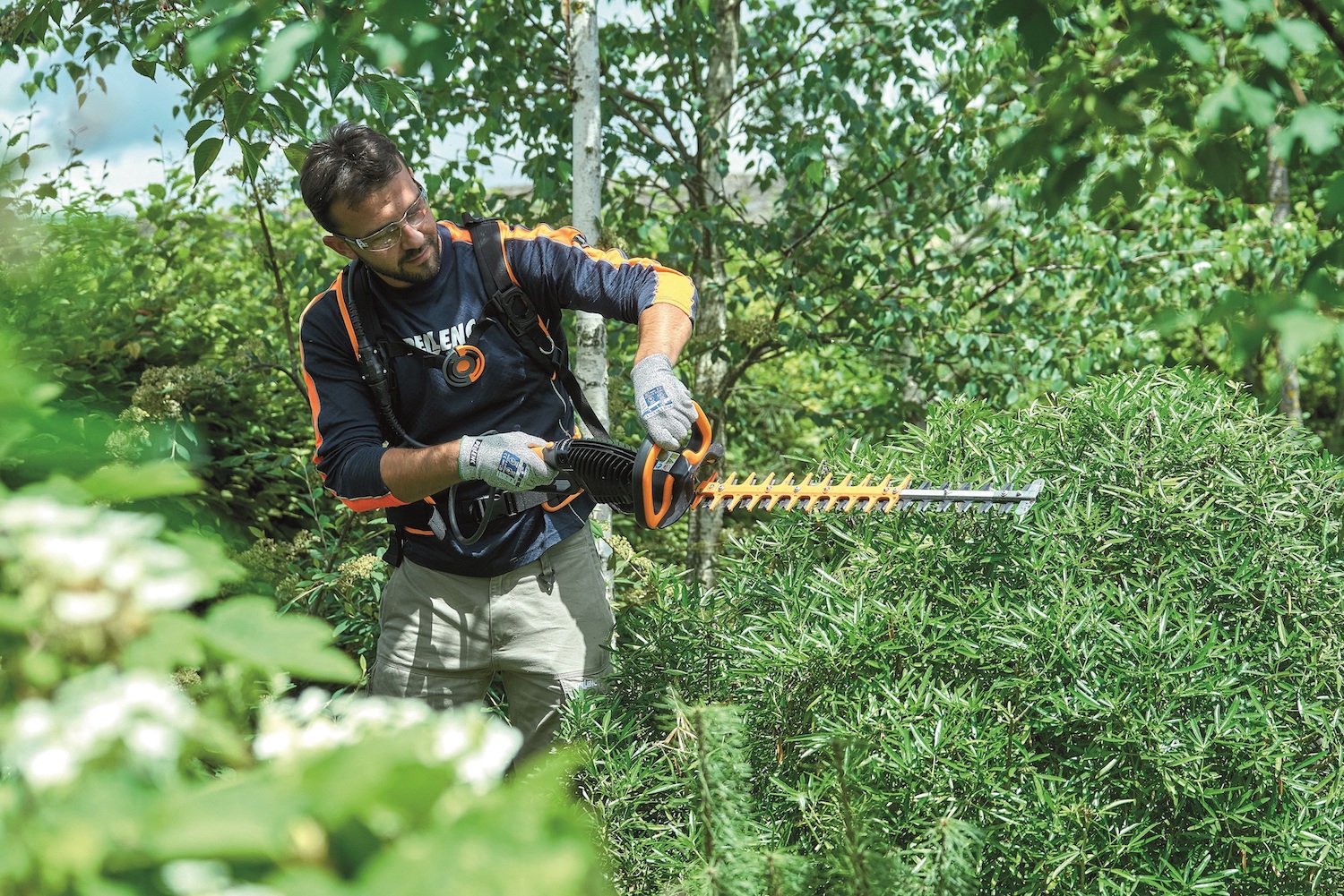 Best Hedgetrimmers for 2022