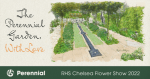 Perennial Mental Health