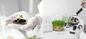 Bioprotectants