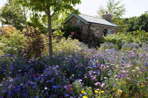 gardeners' World live