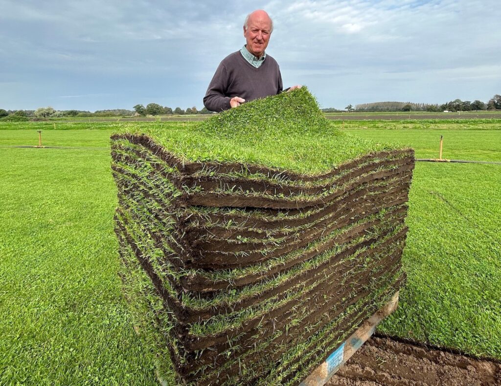 plastic free turf