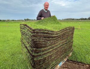 plastic free turf