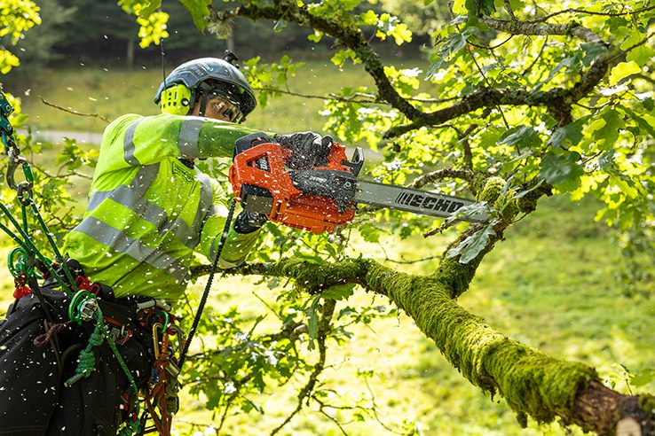 Echo backs chainsaw safety drive as bigger battery unit arrives