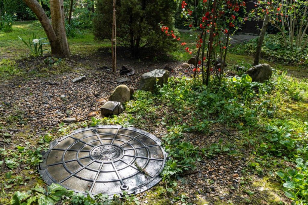 Landscaping tips for gardens with septic tanks