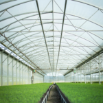 Cheviot Trees Announces Land Acquisition to Drive Forward Expansion in Cell Grown Stock