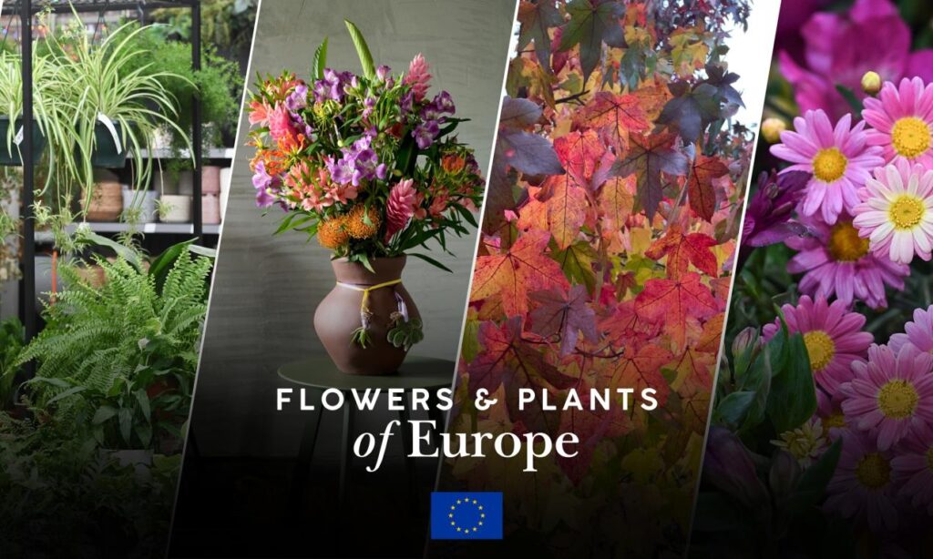 HTA Brings British Horticulture To Europe House For Landmark UK-EU Showcase