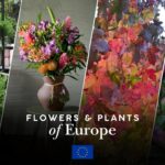 HTA Brings British Horticulture To Europe House For Landmark UK-EU Showcase