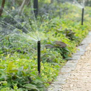 Irrigation Upgrades: Industry Expert Outlines Decision Framework for Facilities Managers