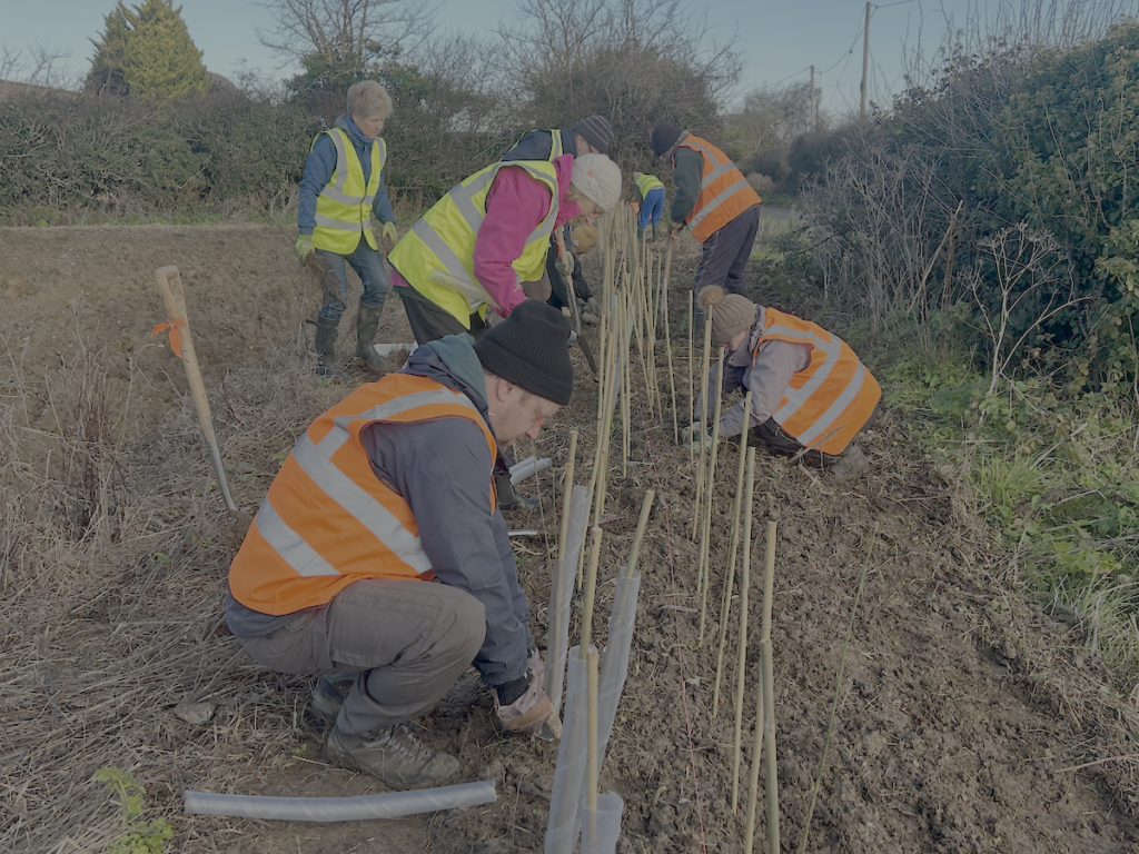 Almost 4,000 Hedgerow Volunteers Bring Charity In Touching Distance Of 100-Mile Centenary Target