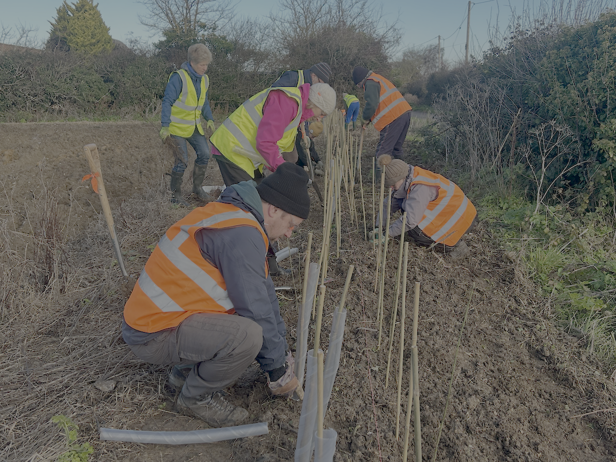 Almost 4,000 Hedgerow Volunteers Bring Charity In Touching Distance Of 100-Mile Centenary Target
