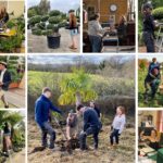 Architectural Plants – Looking To The Future