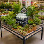 Deco-Pak Combines Innovation With A Transparent, Sustainable Response To Industry Cost Pressures