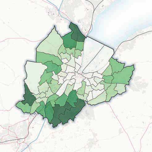 Developing A Tree Strategy For The Urban Realm