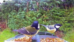 FeatherSnap Announced As Official Sponsor Of The Classroom Garden at RHS Chelsea Flower Show 2026