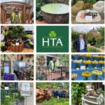 Award Success At Chelsea: HTA And APL Members Triumph With Their Dedication To Excellence