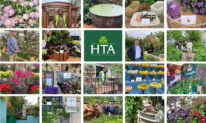 Award Success At Chelsea: HTA And APL Members Triumph With Their Dedication To Excellence