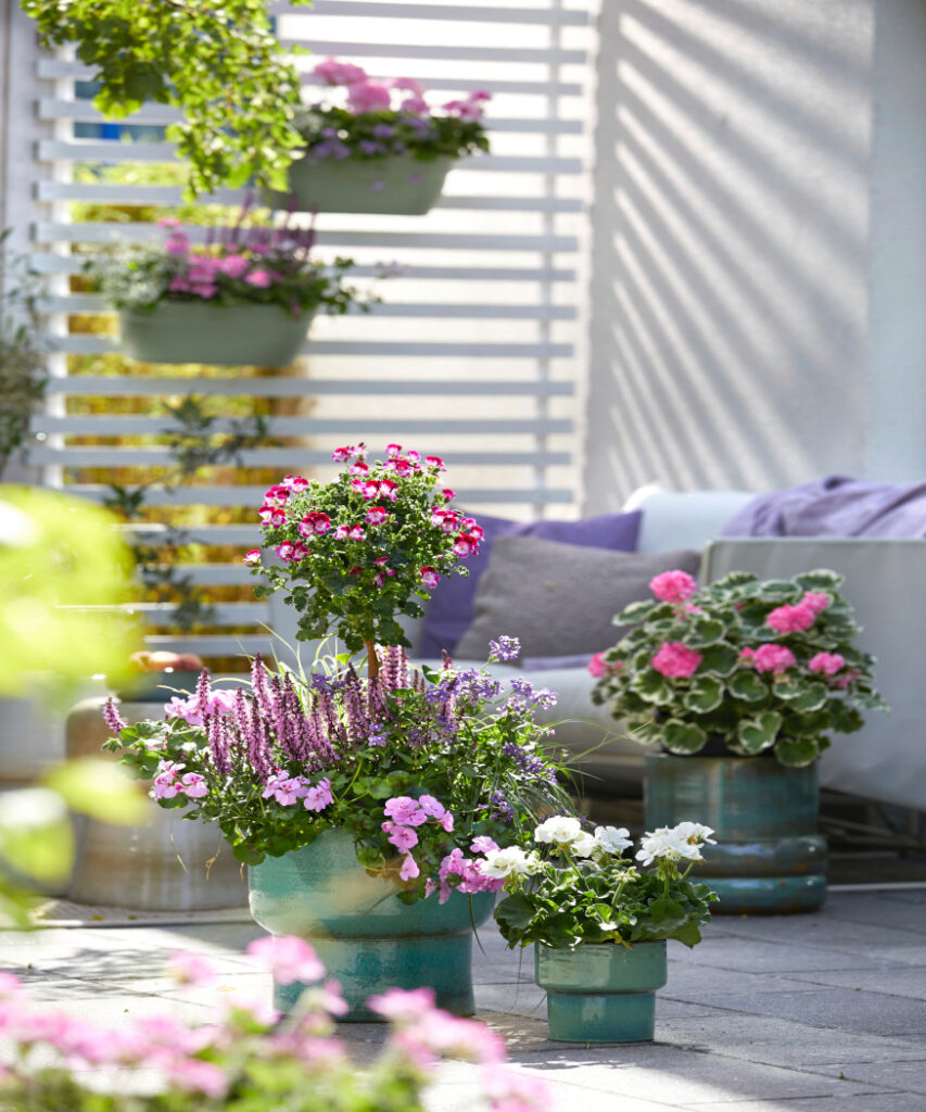 Bring Your Garden To Life With Charming Floral Combinations