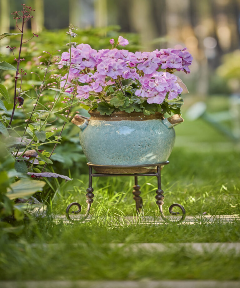 Bring Your Garden To Life With Charming Floral Combinations