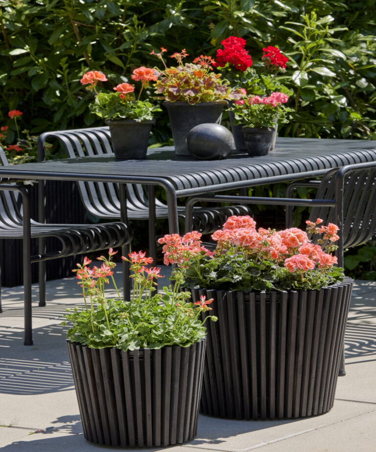 Bring Your Garden To Life With Charming Floral Combinations