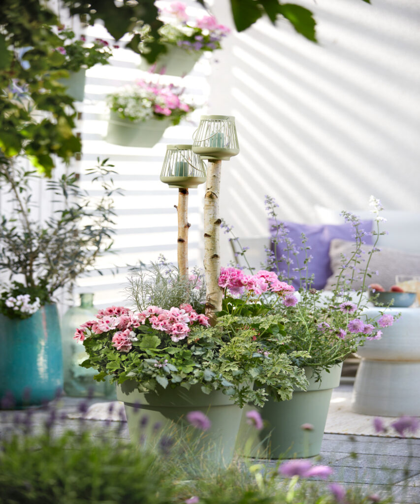 Bring Your Garden To Life With Charming Floral Combinations