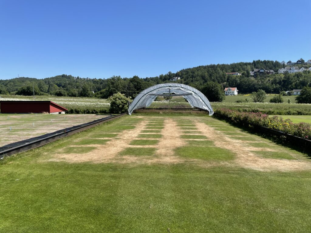 Independent FAIR WATER II Trial Highlights Fairway Drought Performance