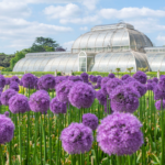 Royal Botanic Gardens, Kew to Join Industry Collaboration at New Scientist Live 2026