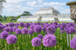 Royal Botanic Gardens, Kew to Join Industry Collaboration at New Scientist Live 2026