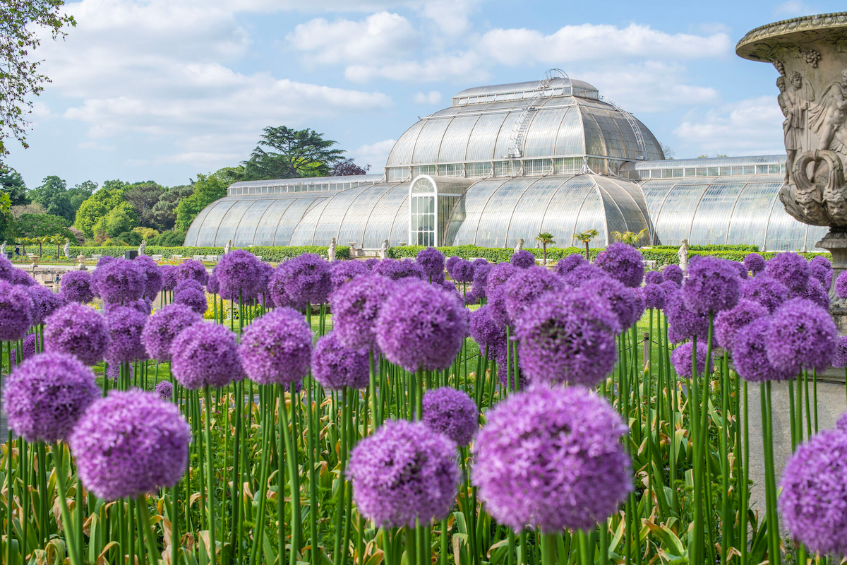 Royal Botanic Gardens, Kew to Join Industry Collaboration at New Scientist Live 2026
