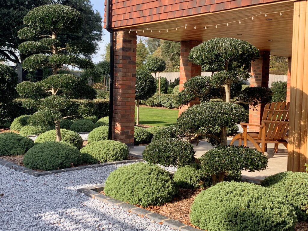 Architectural Plants - Looking To The Future