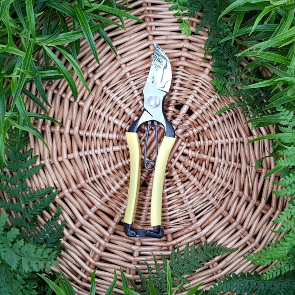 5 Top Tools
