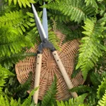 Top 5 Clipping Tools From Architectural Plants