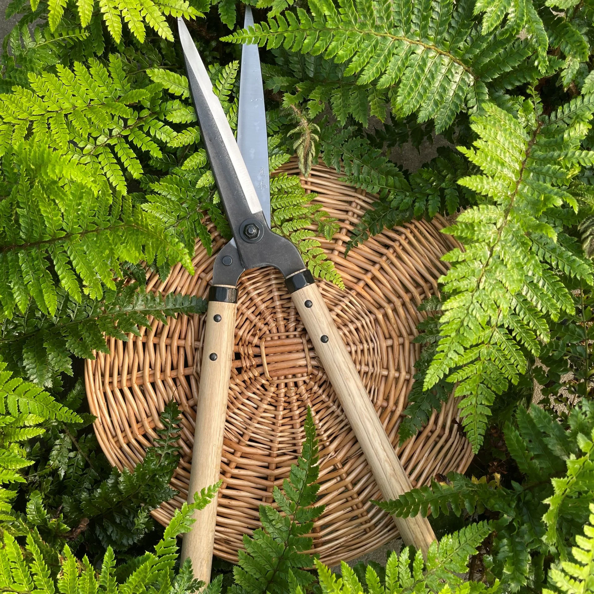 Top 5 Clipping Tools From Architectural Plants