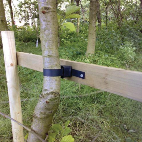 How To Stake A Tree Correctly