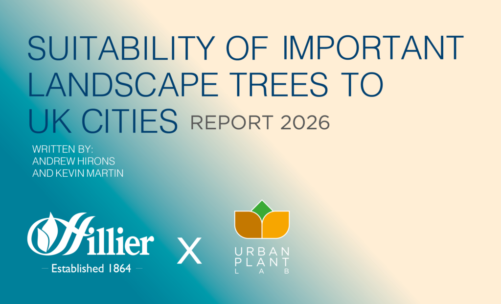 Are The Trees We’re Planting Today Fit For Tomorrow’s Climate?
