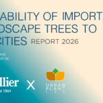 Are The Trees We’re Planting Today Fit For Tomorrow’s Climate?