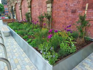 Green-Tech Supports DTMS With Sustainable Landscape Solutions For Goole Town Centre Regeneration
