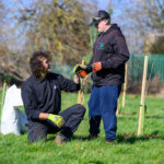 The Tree Council Opens £2.5m Trees Outside Woodland Planting Fund As Defra Doubles Investment In Community Trees