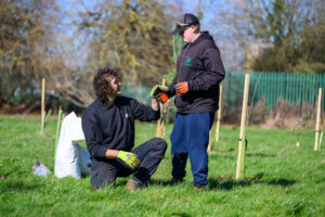 The Tree Council Opens £2.5m Trees Outside Woodland Planting Fund As Defra Doubles Investment In Community Trees