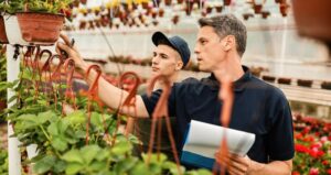 Perennial celebrates 25 years of innovation and development in its support services