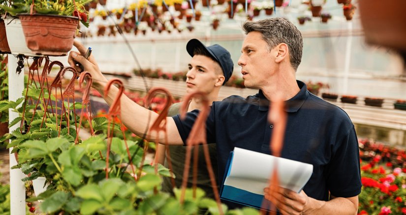 Perennial celebrates 25 years of innovation and development in its support services