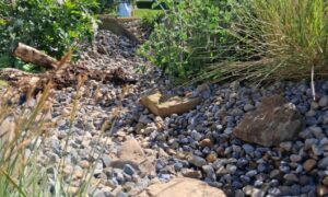 Future-Proofing Your Garden For A Changing UK Climate