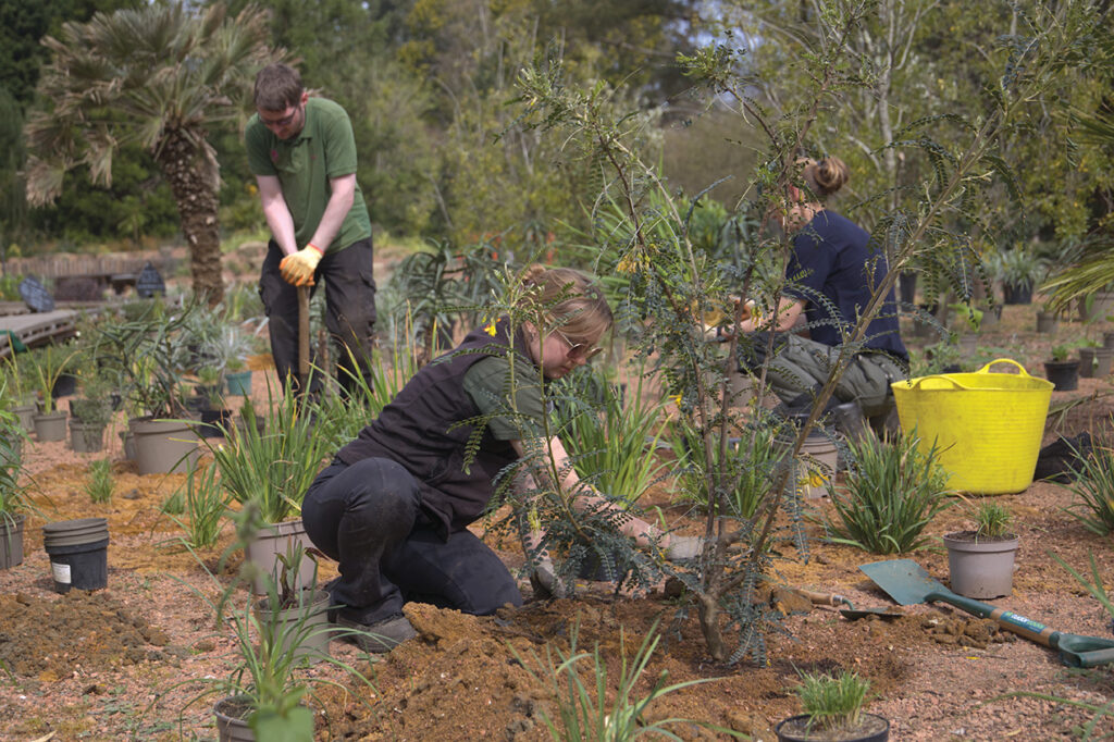 Kickstarting Historic Gardens’ Adaptability