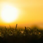 HTA Responds To The Announcement Of More Drought Declarations Across The UK