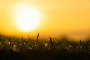 HTA Responds To The Announcement Of More Drought Declarations Across The UK