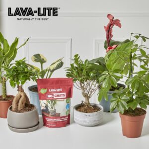 Back In The Mix: Returning Brands Bring Fresh Investment To Glee 2026
