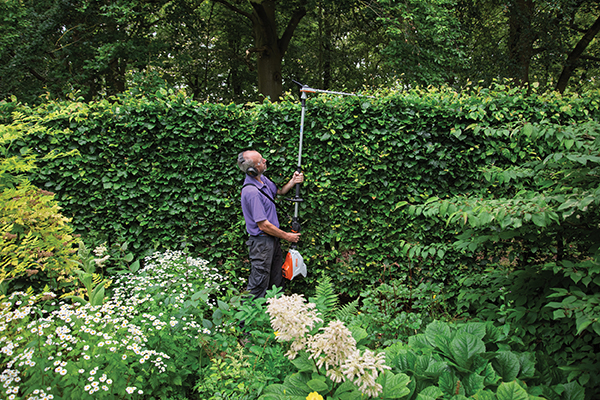 Stihl HLA 140 Cordless Long-Reach Hedge Trimmer
