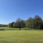 Suståne Partnership Delivers More Than Just Reliable Product For Ferndown Forest