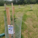Origin Green-Tech Supports Dilton Marsh Village Orchard Project To Restore Wiltshire’s Orchard Heritage