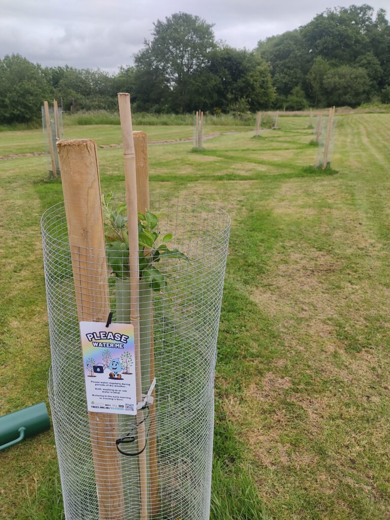 Origin Green-Tech Supports Dilton Marsh Village Orchard Project To Restore Wiltshire's Orchard Heritage