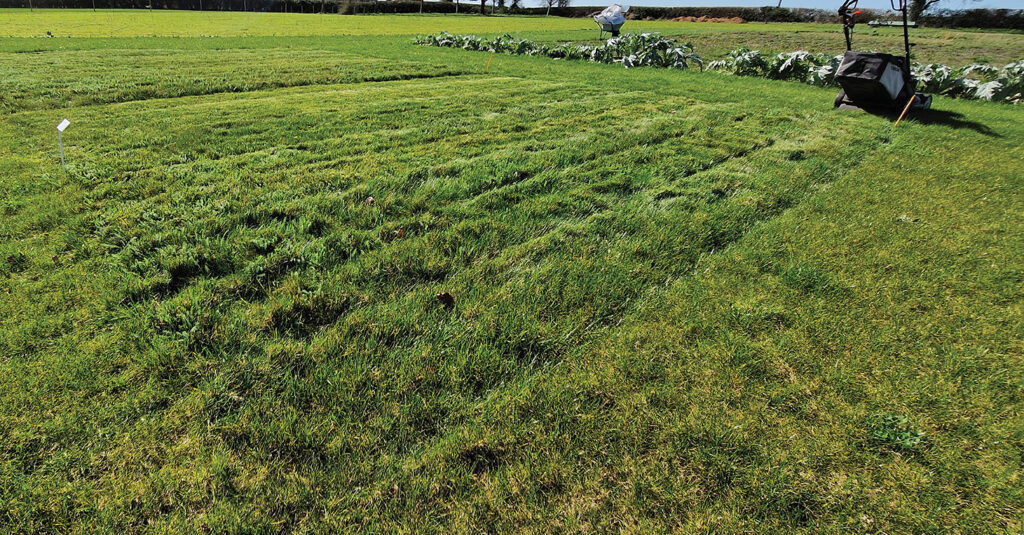 Heyday for haymaking